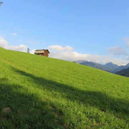 Pension Muehlbachhof Alpbach Esterno foto