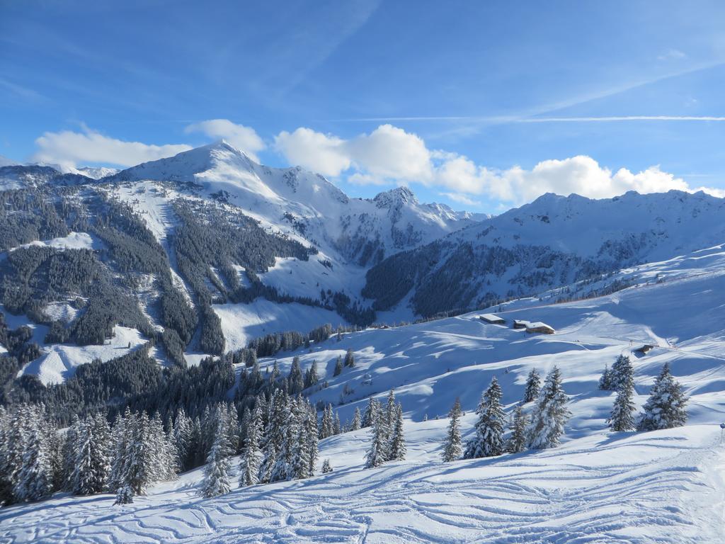 Hotel Pension Muehlbachhof Alpbach Esterno foto