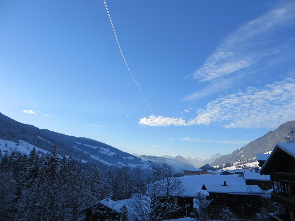 Hotel Pension Muehlbachhof Alpbach Esterno foto