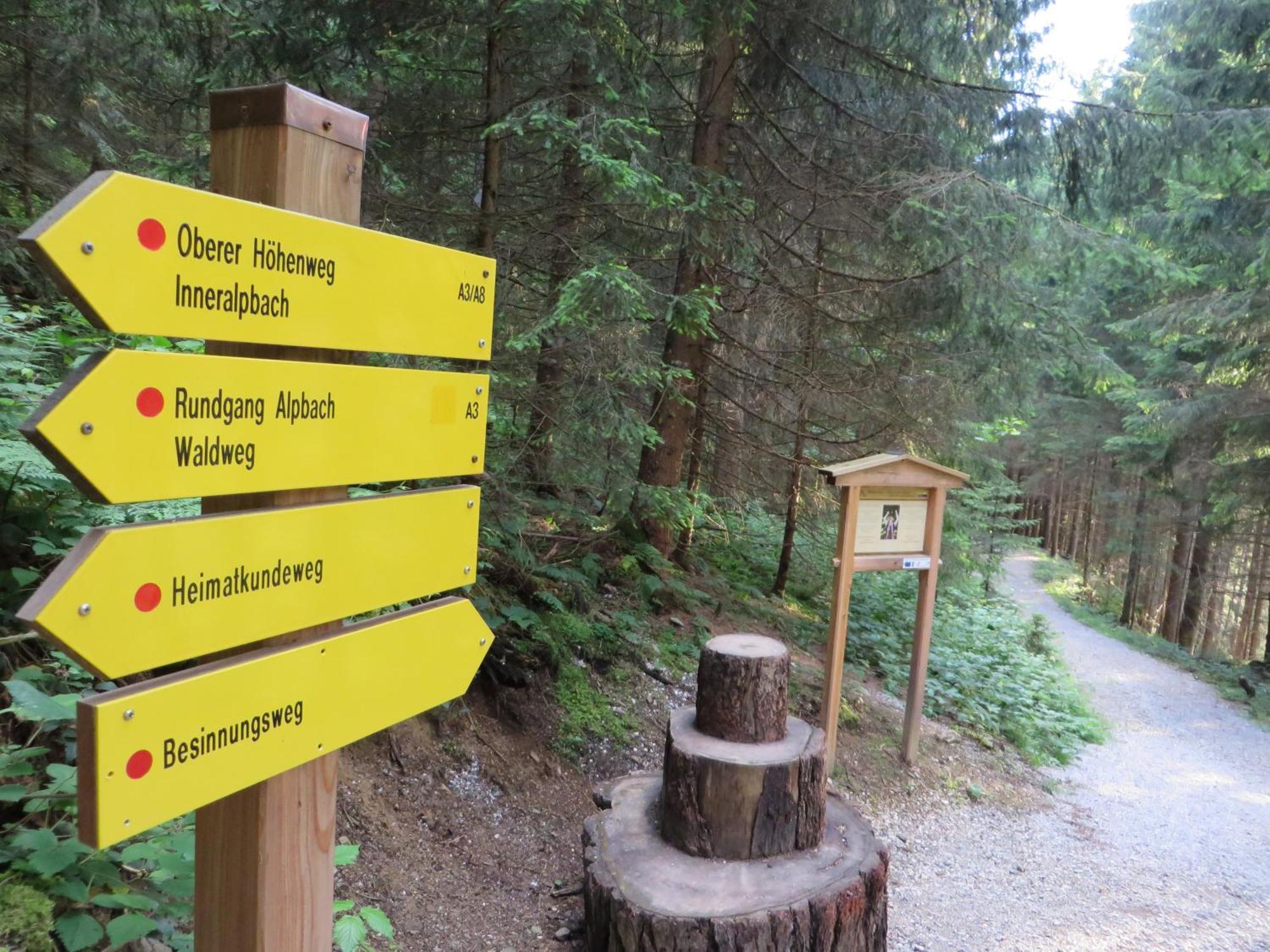 Pension Muehlbachhof Alpbach Esterno foto