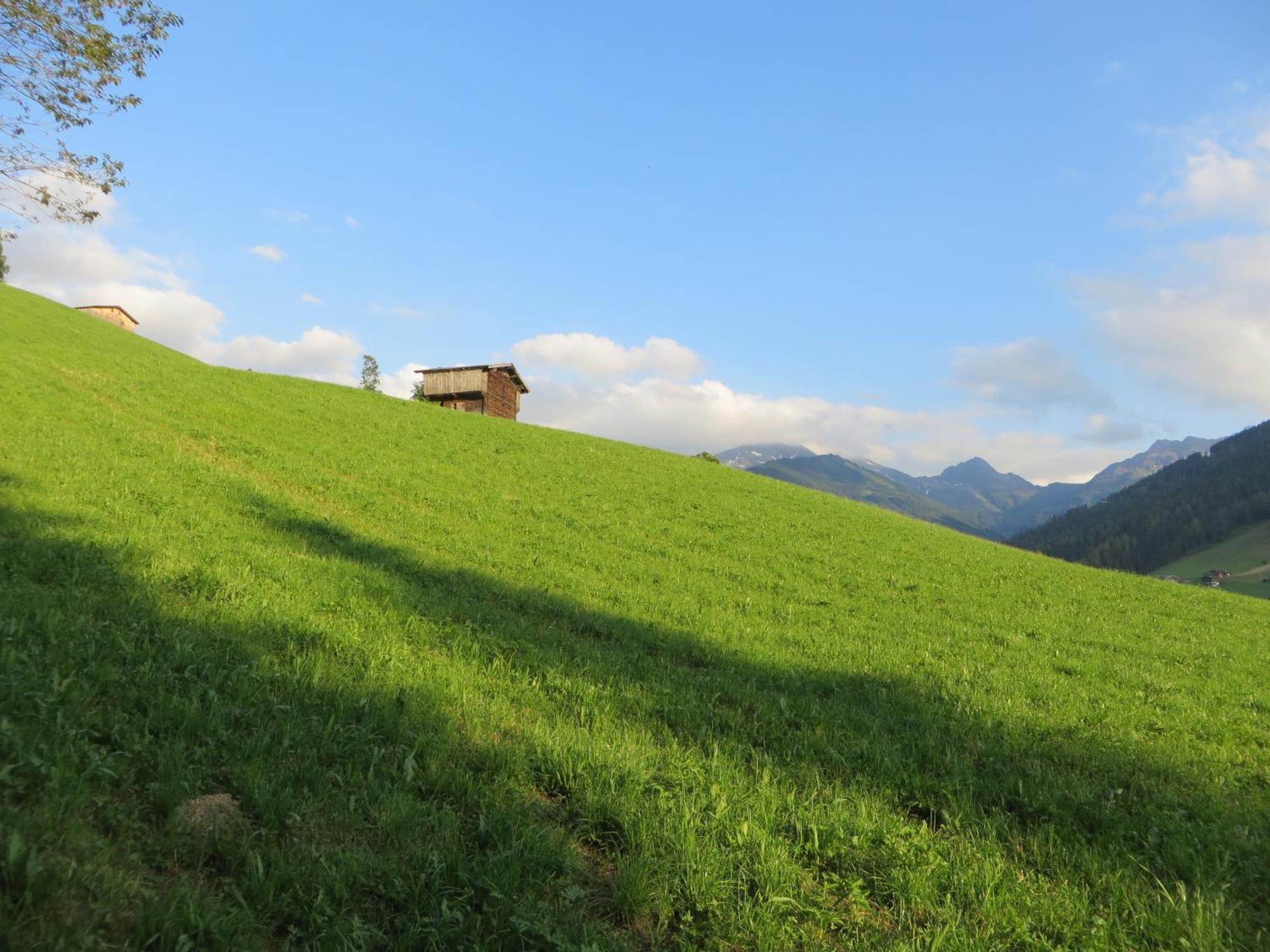 Hotel Pension Muehlbachhof Alpbach Esterno foto