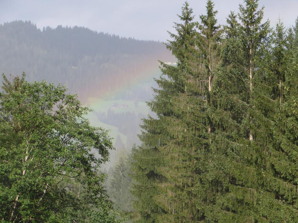 Hotel Pension Muehlbachhof Alpbach Esterno foto